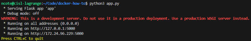 Flask Hello World output