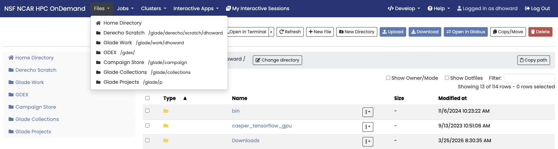 File explorer Open OnDemand example